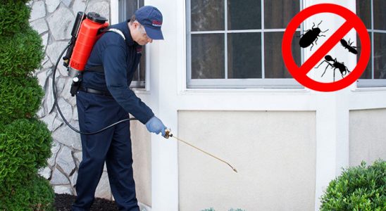 Çamlıyayla Gümüşkurt İlaçlama böcek ilaçlama ve haşere kontrolü — ilaclama-tr.com